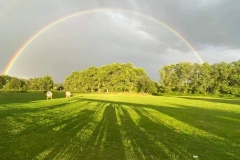 Sunshine on the range